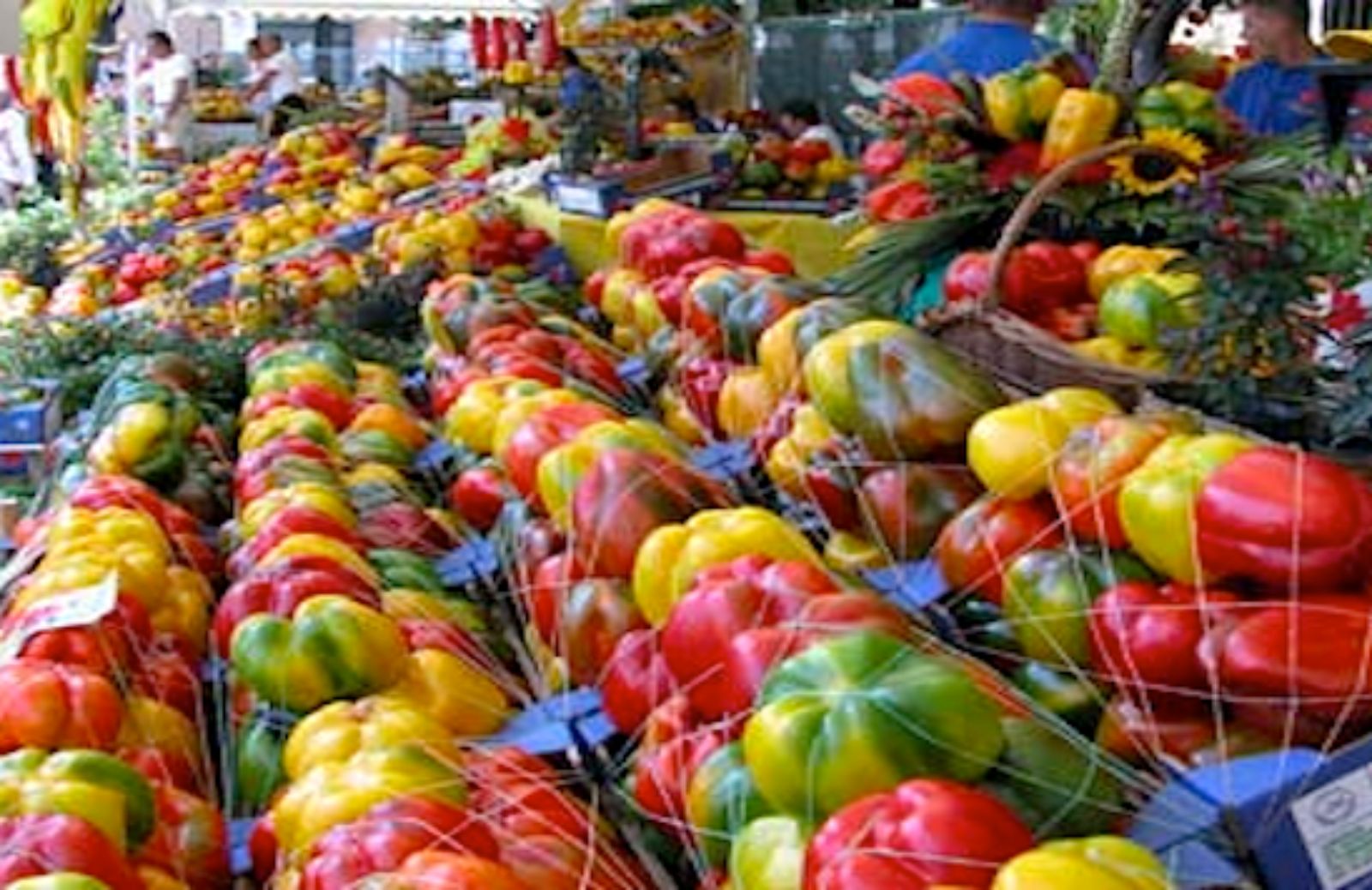 Ad agosto torna la sagra del peperone