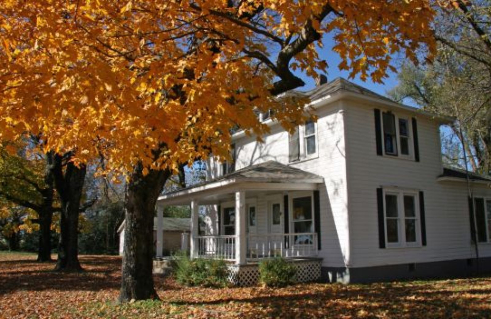 Come rinnovare la casa per l'autunno in modo sostenibile