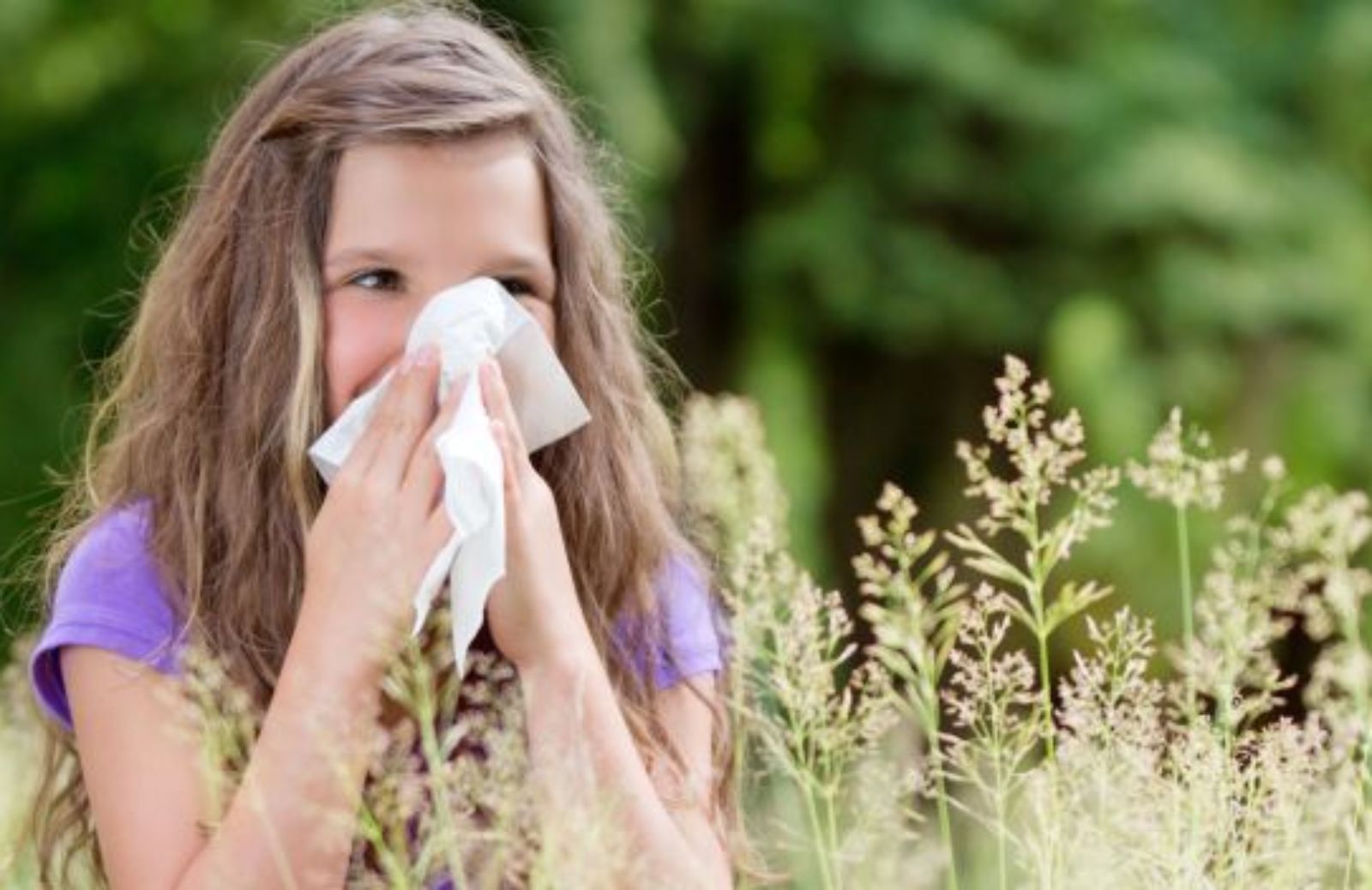 Come alleviare le allergie con rimedi naturali