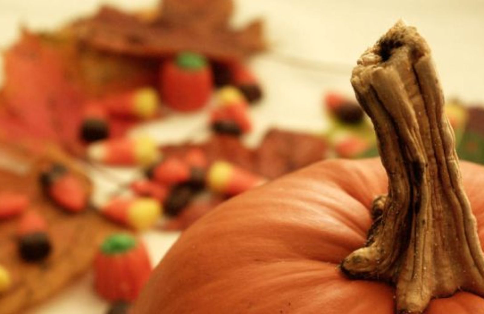 Come fare delle eco decorazioni per la cena di Halloween