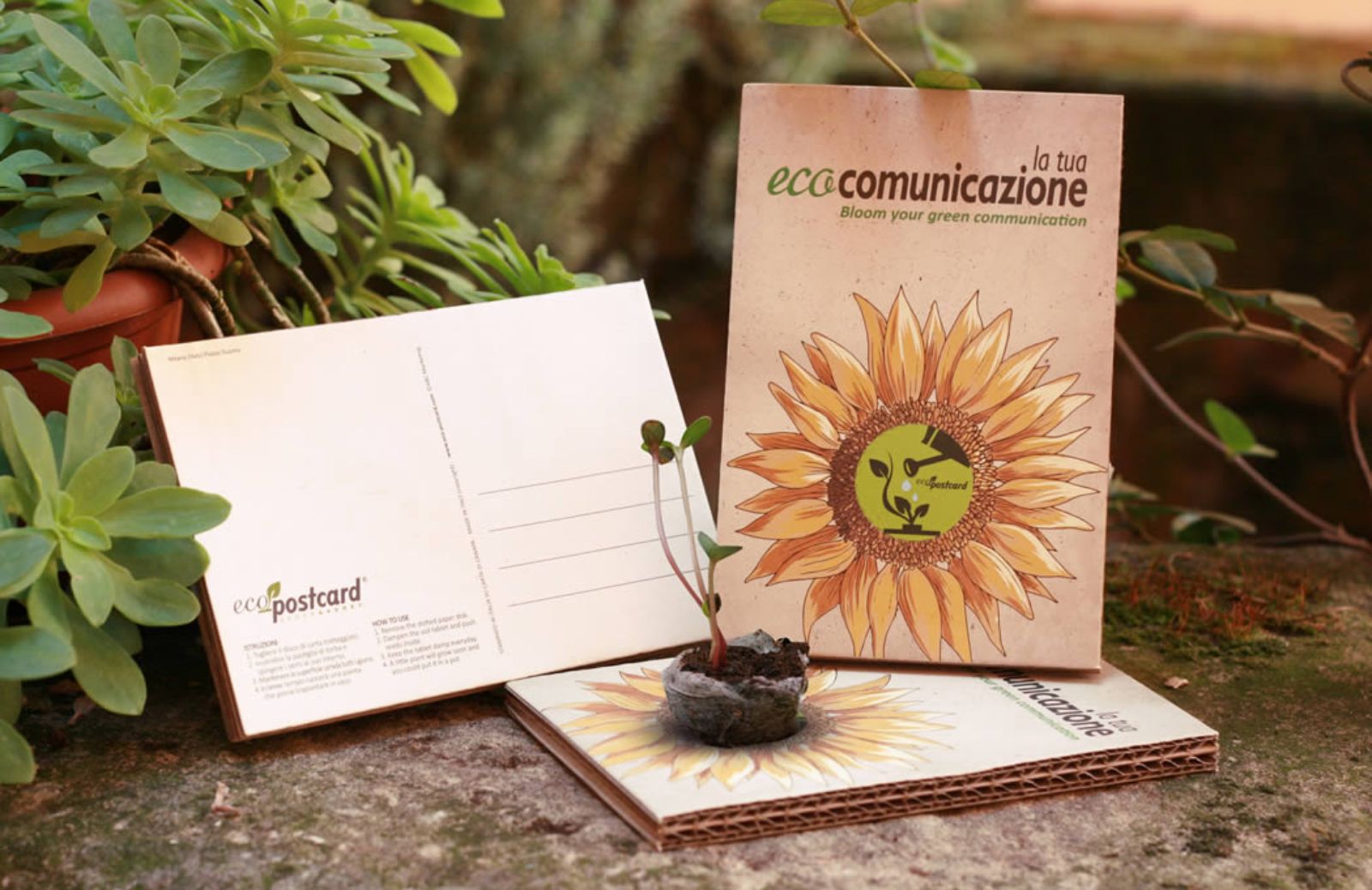 Ecopostcard, la cartolina che si pianta