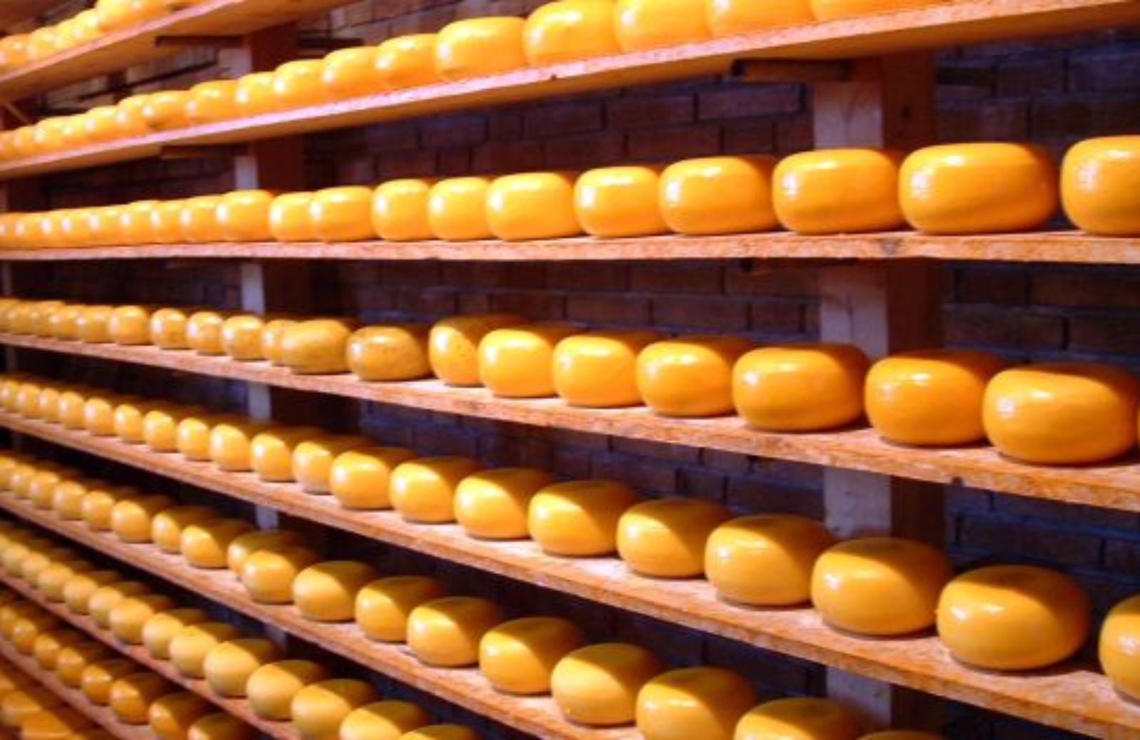 Come (ri)conoscere il formaggio sostenibile: tutte le forme del latte