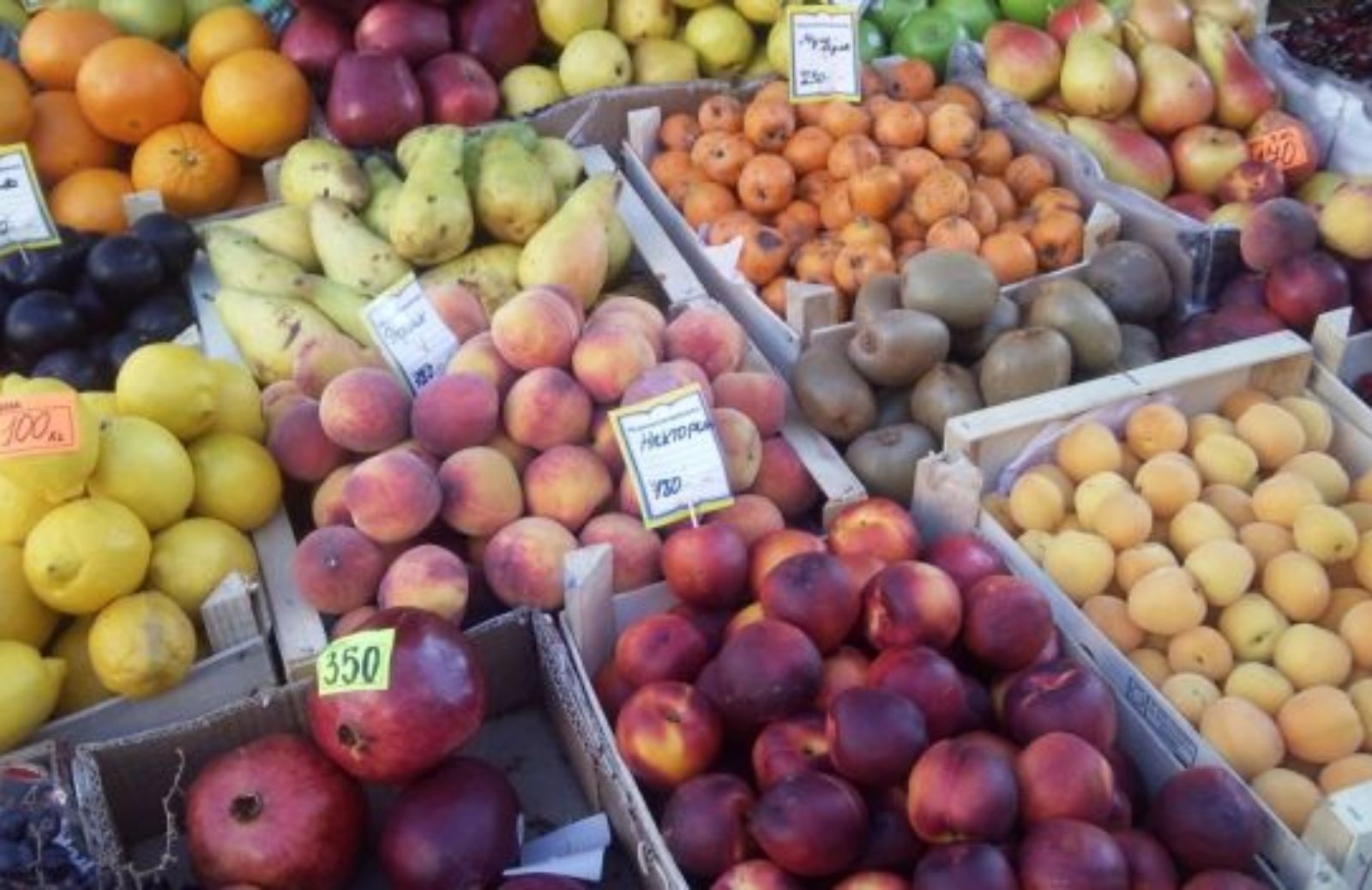 Come e perché scegliere la frutta di stagione in primavera