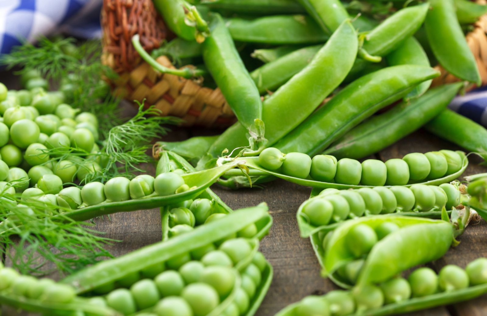 Verdura di stagione: cosa comprare e mangiare a maggio