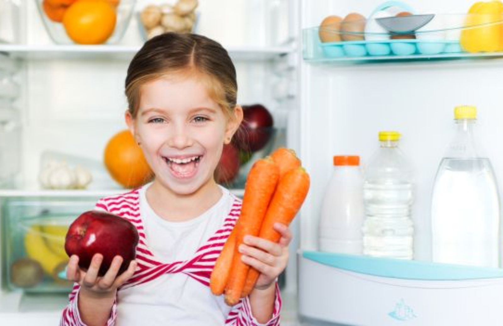 Come usare frigorifero e freezer in modo ecologico