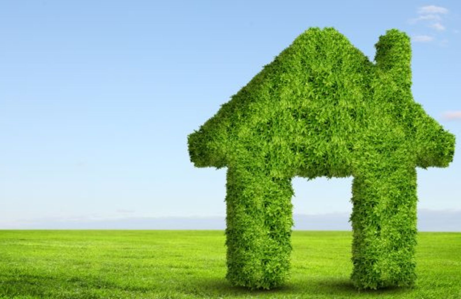 Come depurare l’aria di casa in modo ecologico