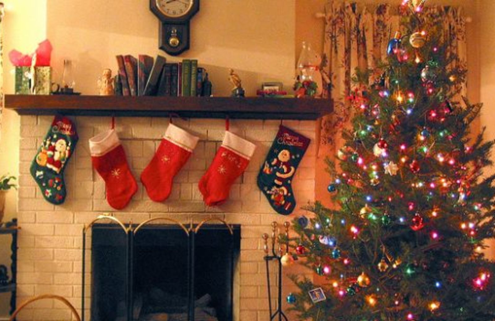 Come scegliere l'albero di Natale: vero o di plastica?