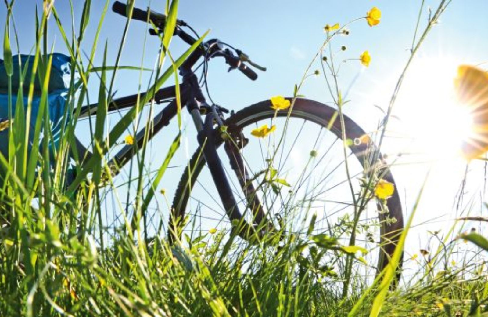 Come controllare la bicicletta in vista della primavera