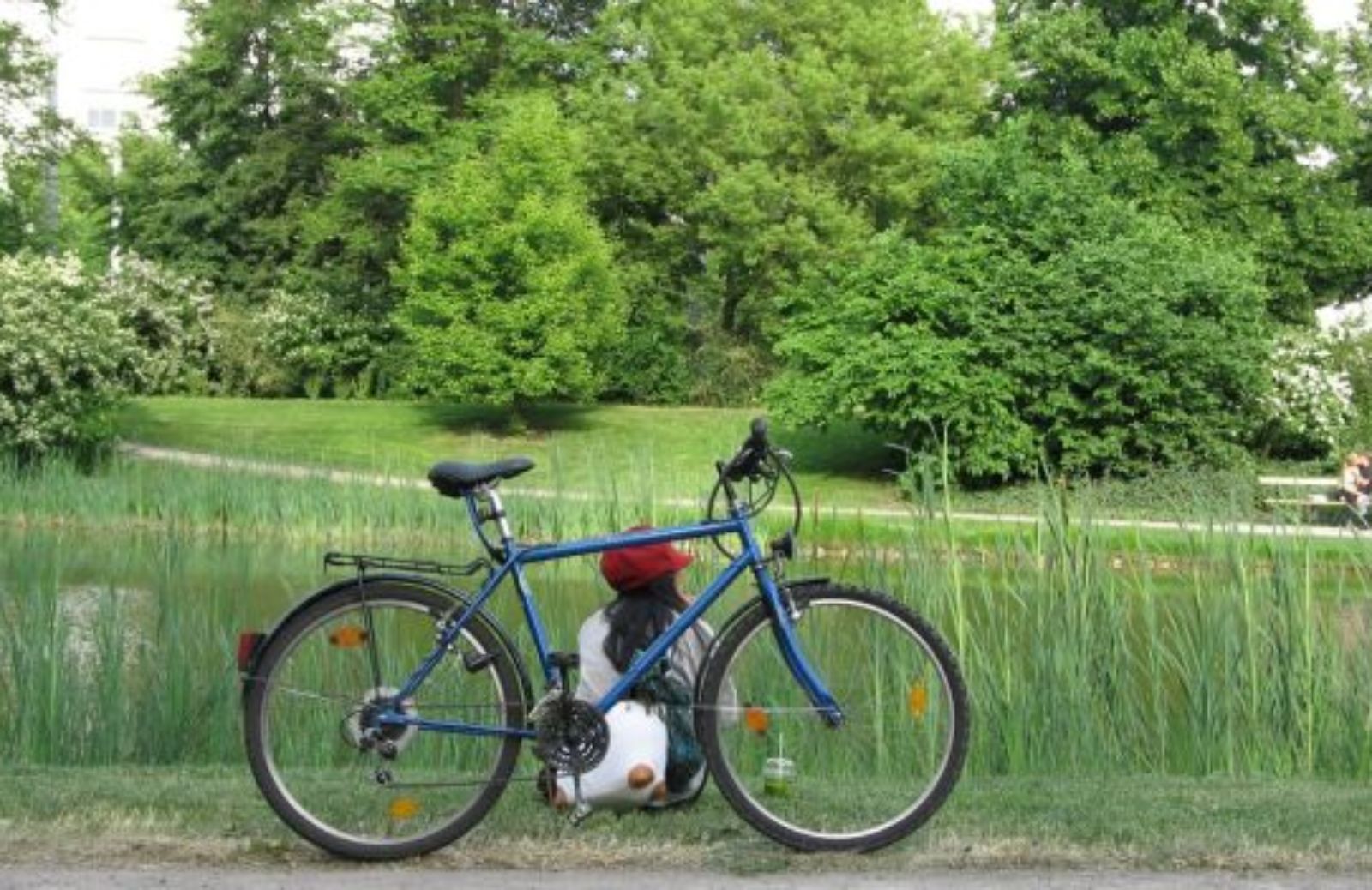 Come difenderci dallo smog in bicicletta