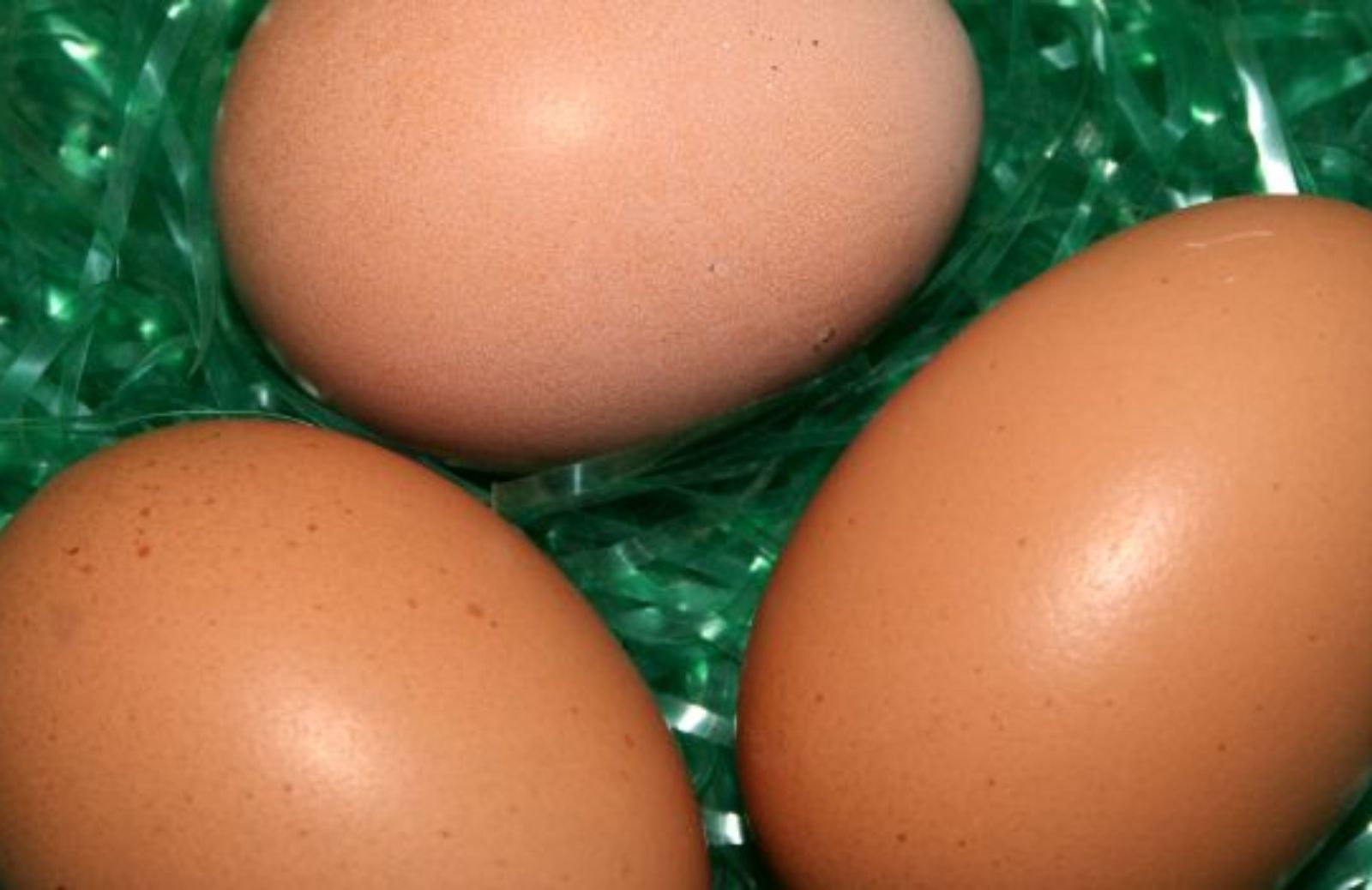 Come essere sostenibili usando i gusci d'uovo
