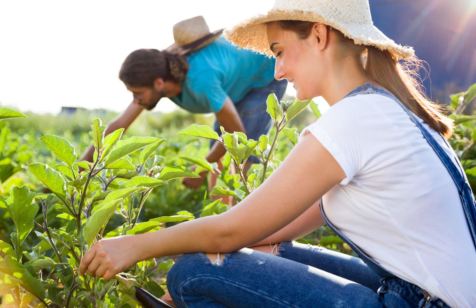 Ecovillaggi: cosa sono e dove sono in Italia