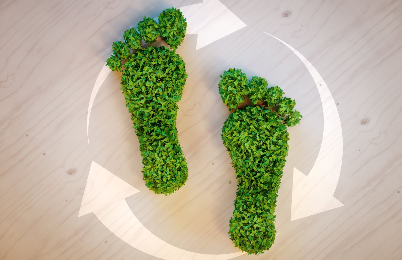 Impronta ecologica cos'è e come si calcola Deabyday Impronta ecologica cos'è e come si calcola Deabyday