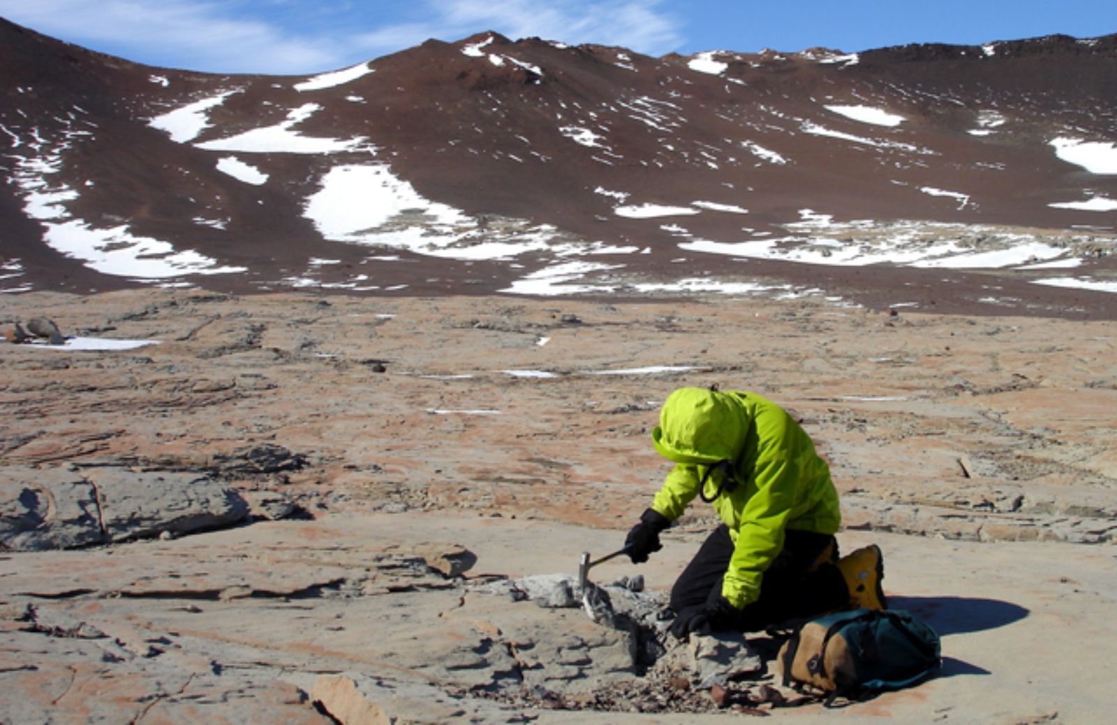Allan Hills, la foresta fossile triassica in Antartide