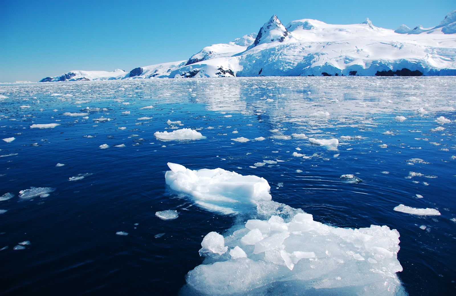 Allarme dei ricercatori: sale il livello dell'Oceano Antartico 