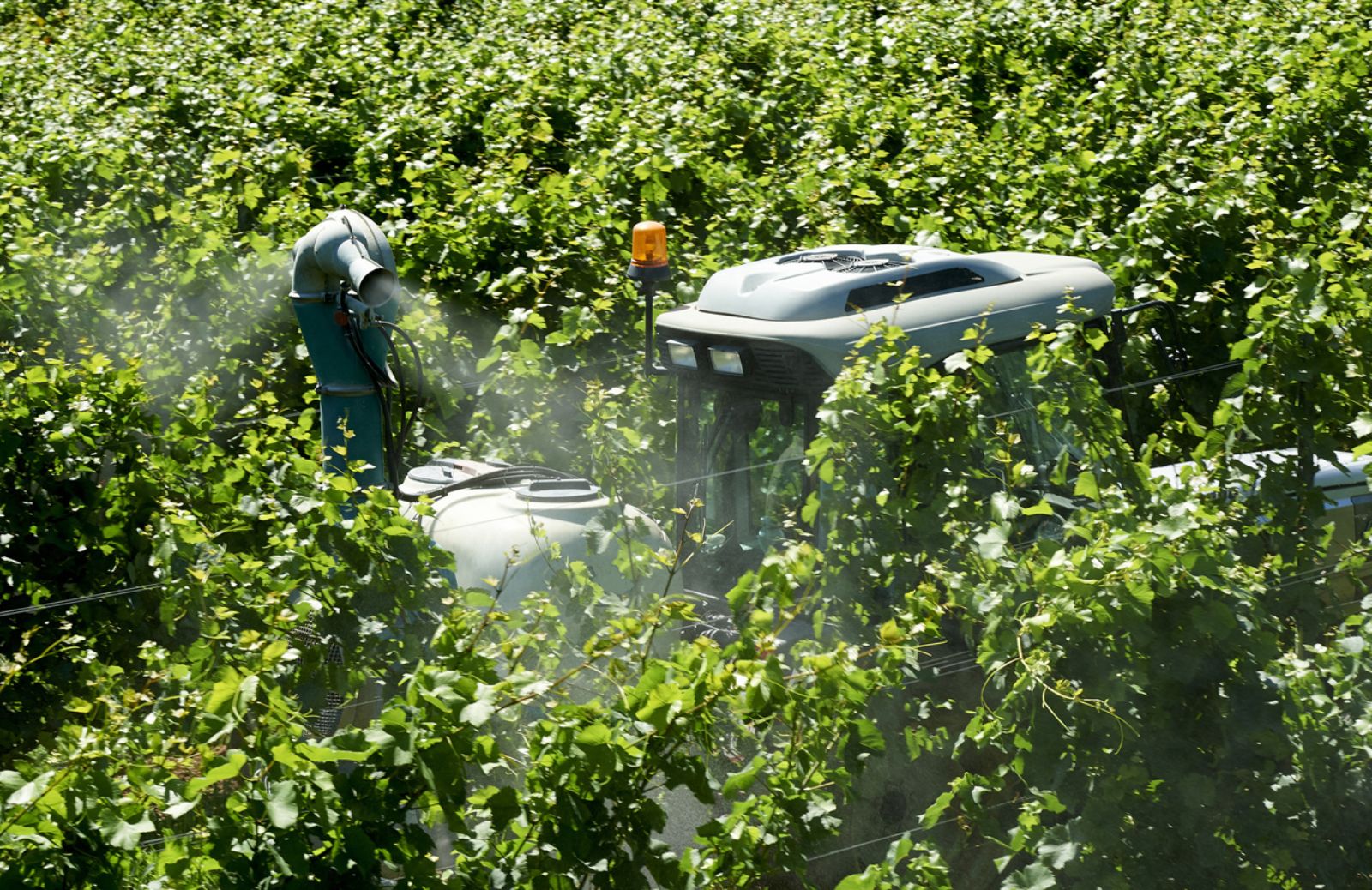 Allarme pesticidi lanciato dall'Ispra 