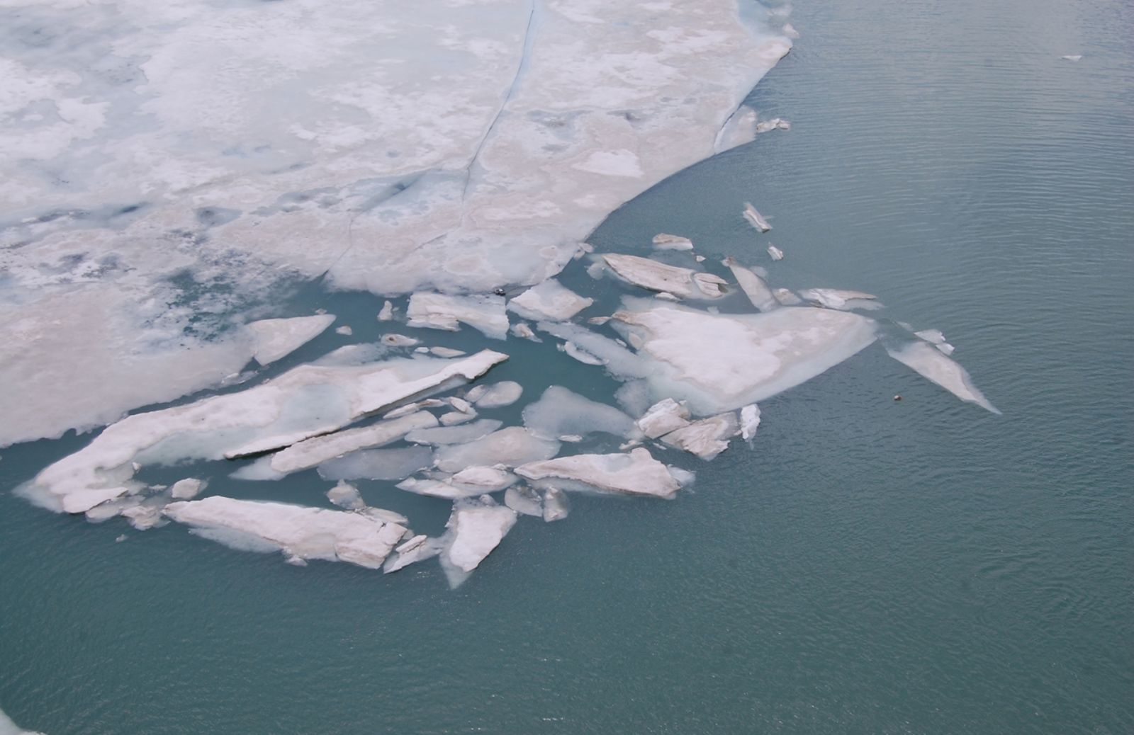 Caldo record al Polo Nord: il pack si è ristretto