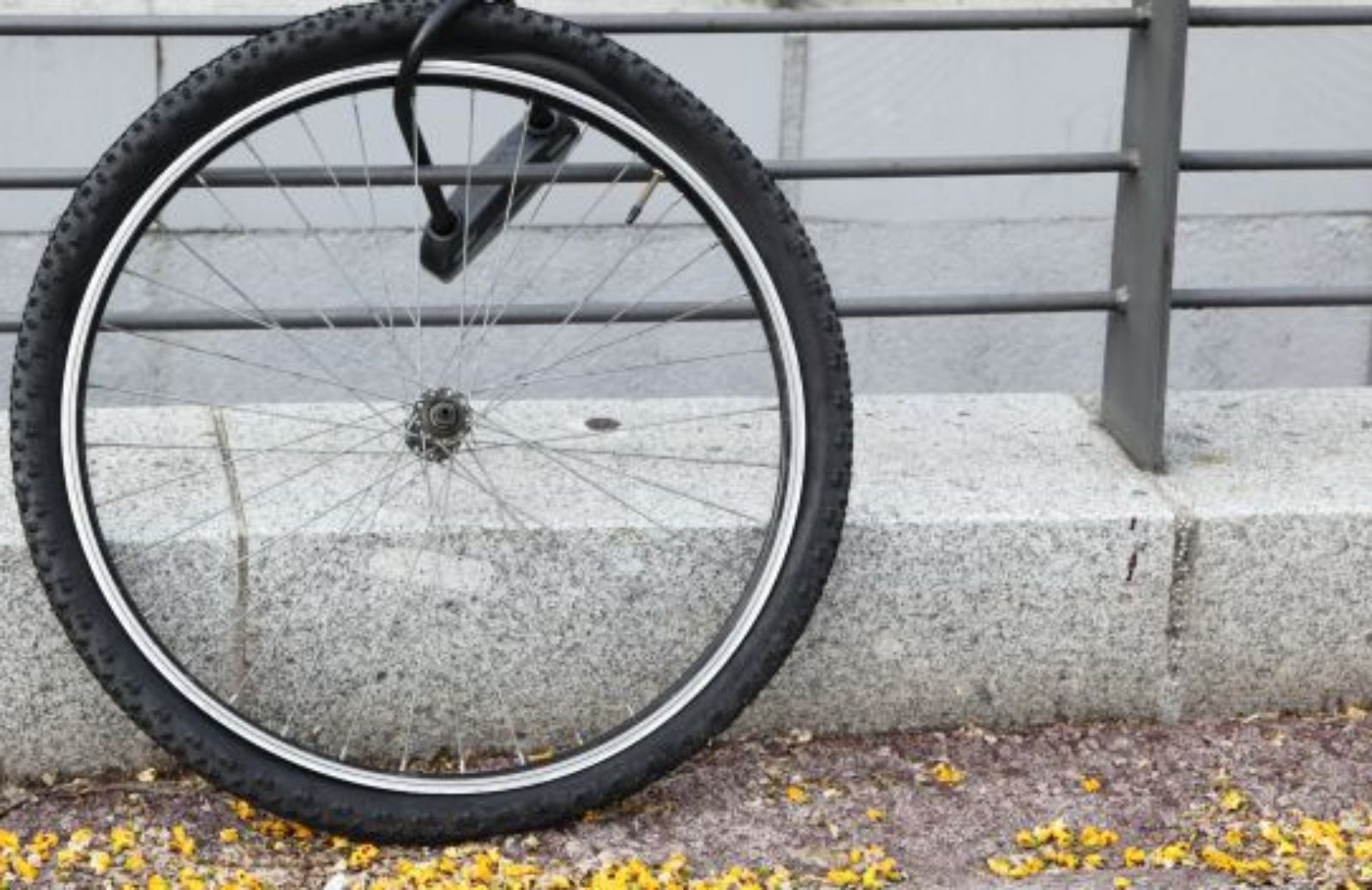 Furti di biciclette, un fenomeno in crescita