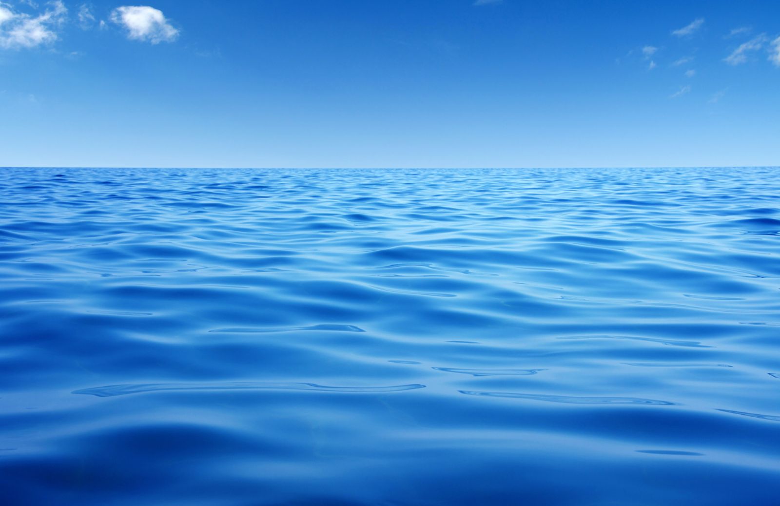 In due secoli oceani più acidi del 26%