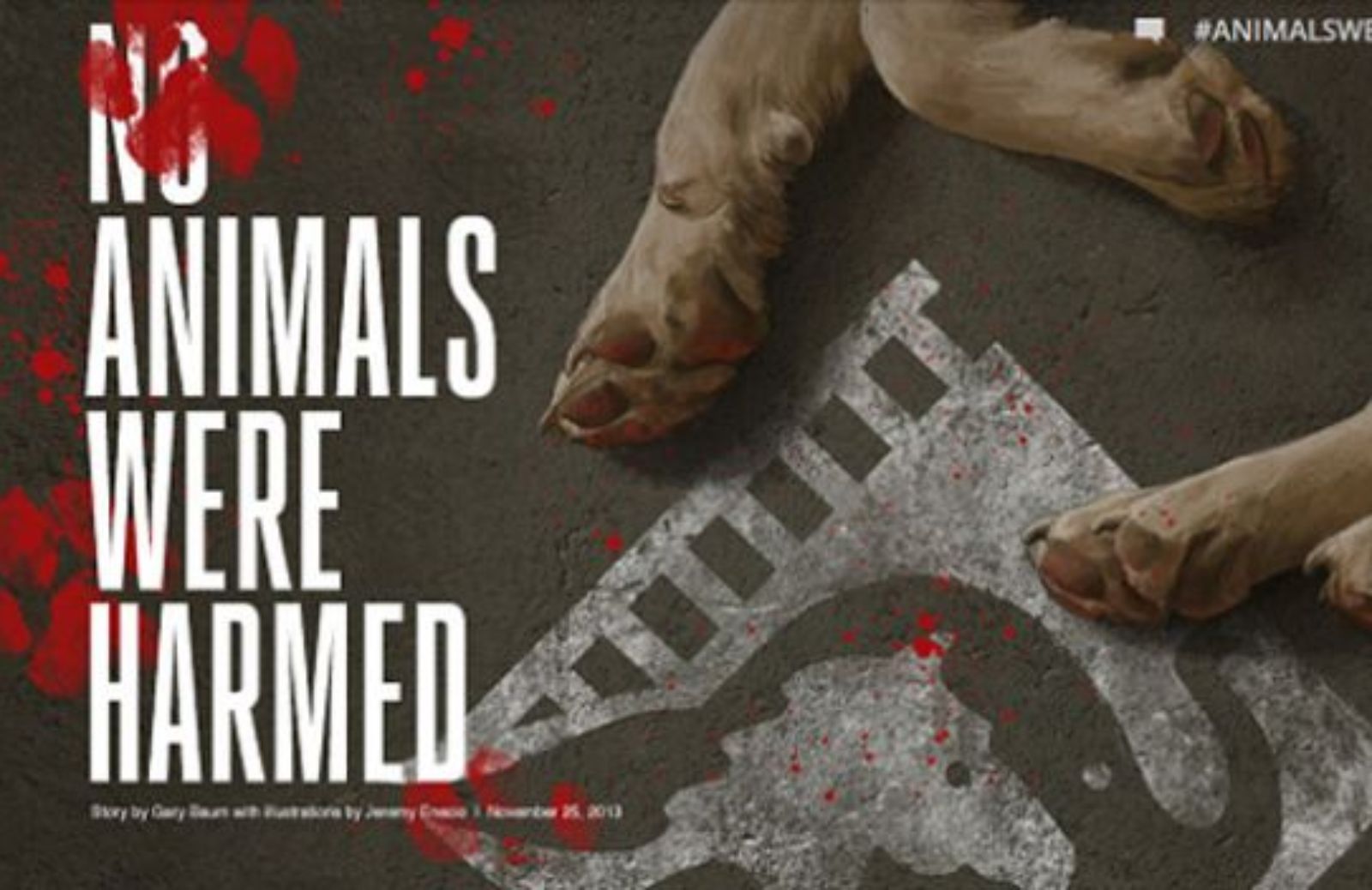 L’accusa di Hollywood Reporter: animali maltrattati sui set