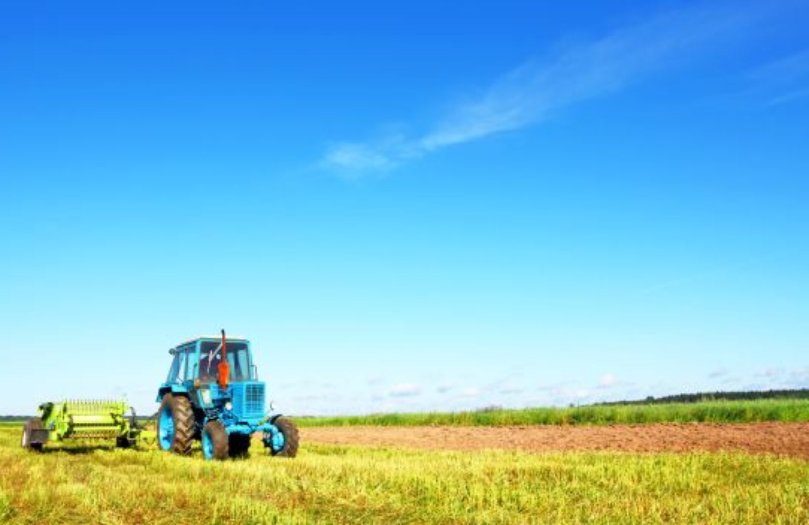 La Banca della terra per dire no ai terreni incolti