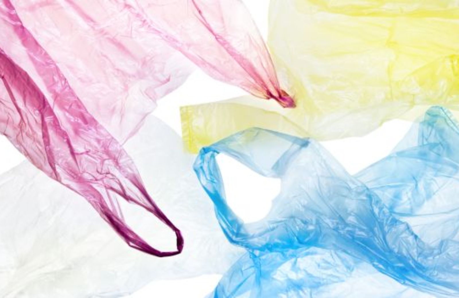 Le Hawaii sono il primo stato americano a vietare i sacchetti di plastica