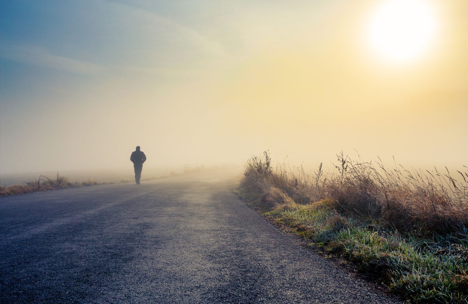 Nella pianura Padana la nebbia si dimezza 