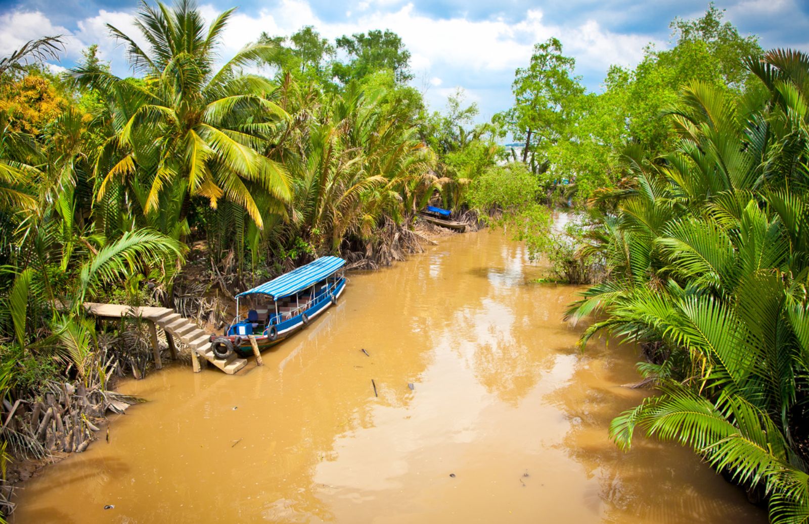 Scoperte 367 nuove specie nel bacino del Mekong