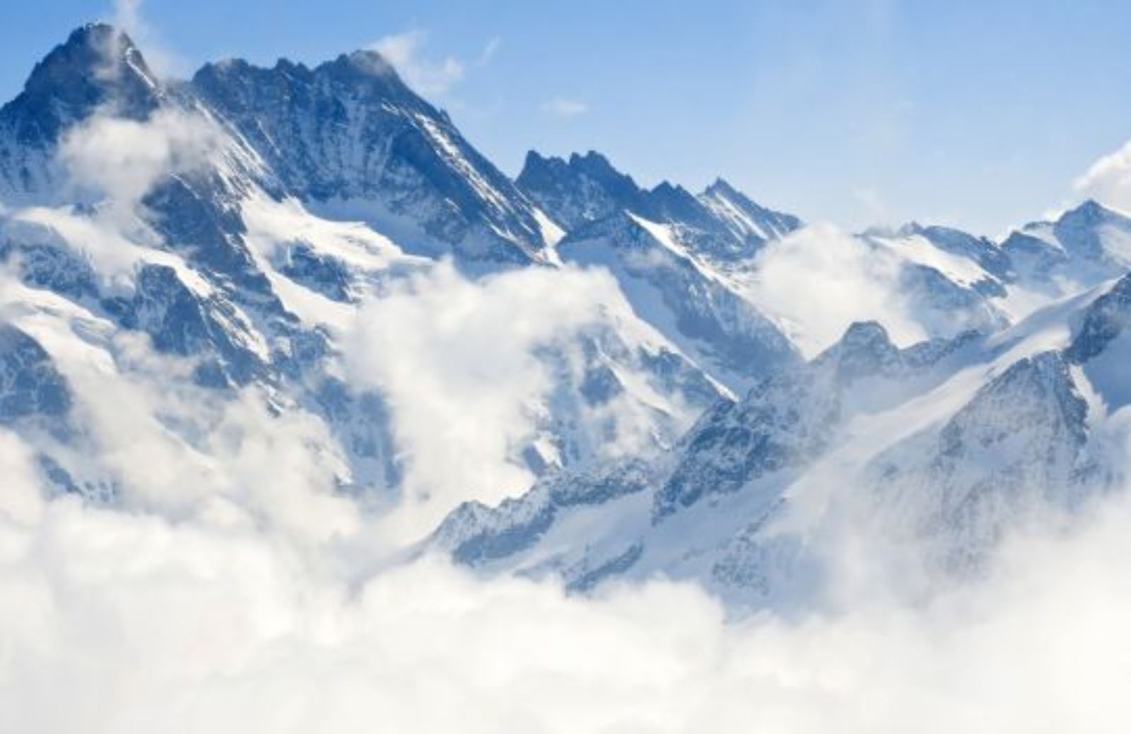 Share Stelvio: tra 80 anni i ghiacciai delle Alpi potrebbero scomparire