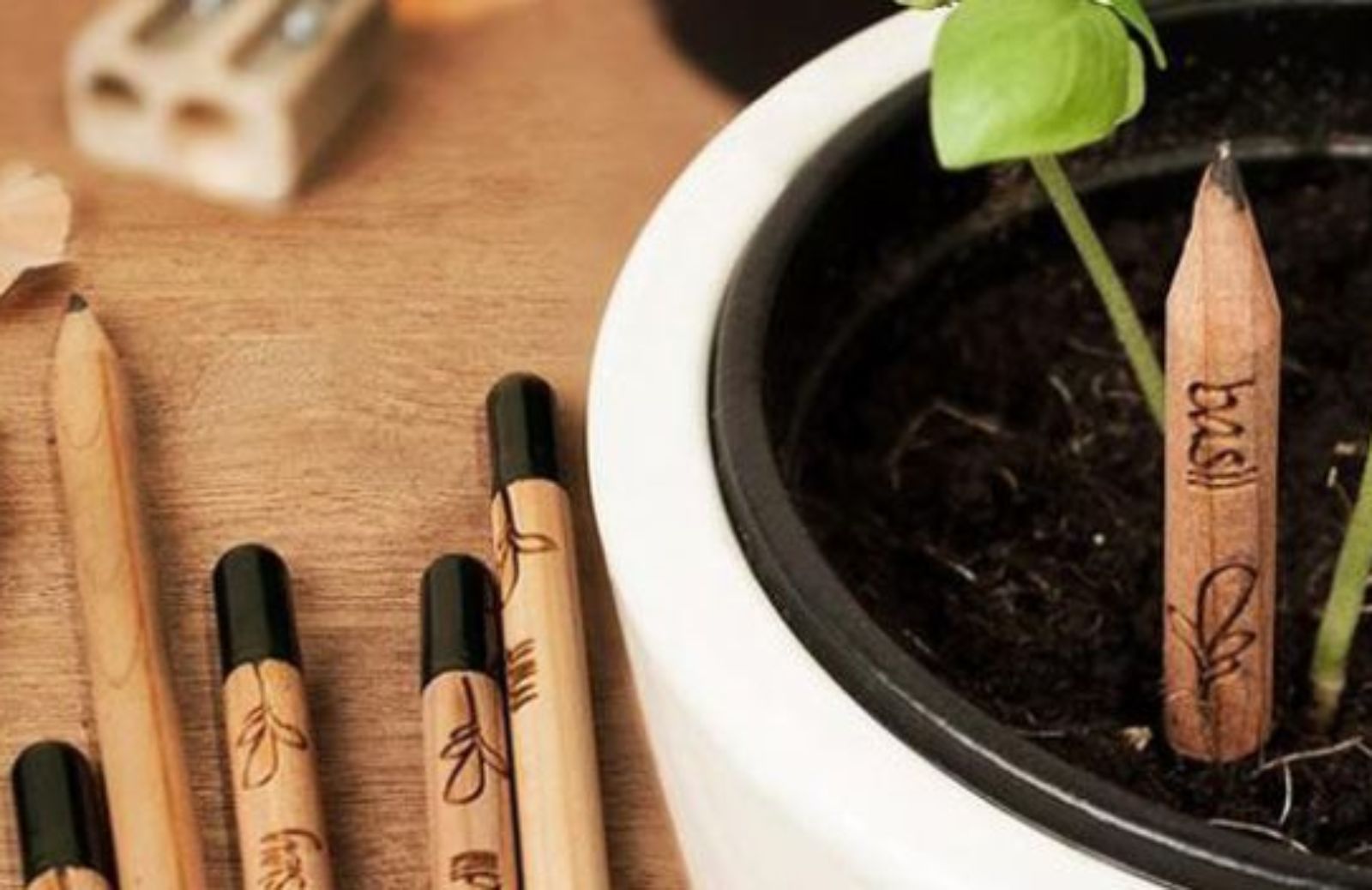 Sprout, la matita che si pianta