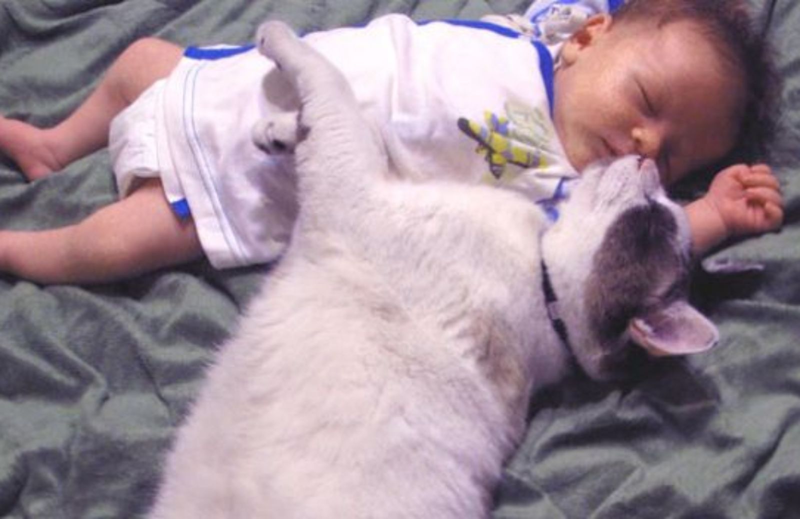 Come migliorare la salute dei neonati con cani e gatti