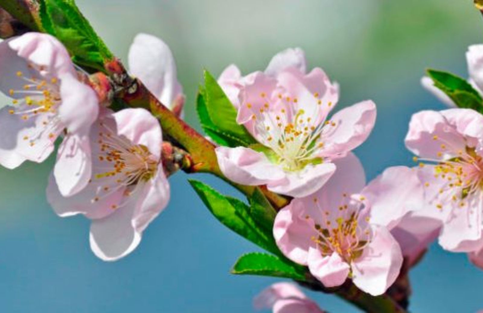 Come e dove passare Pasqua con i bambini