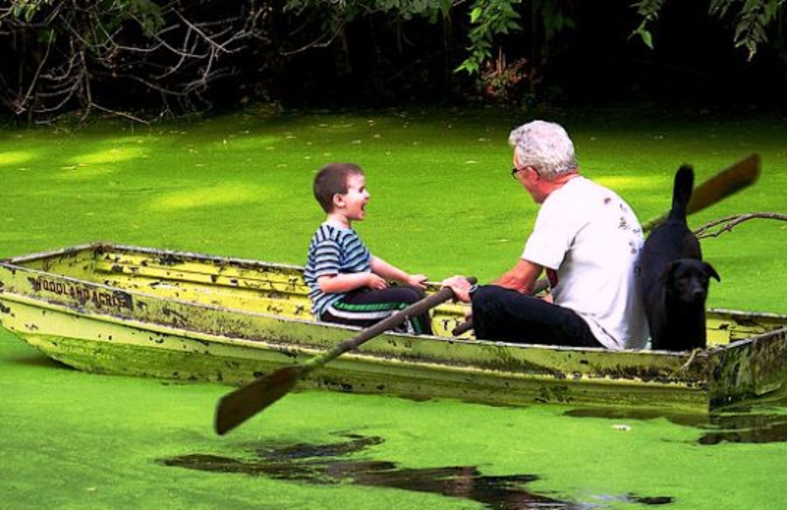 Come gestire la vacanza coi nonni