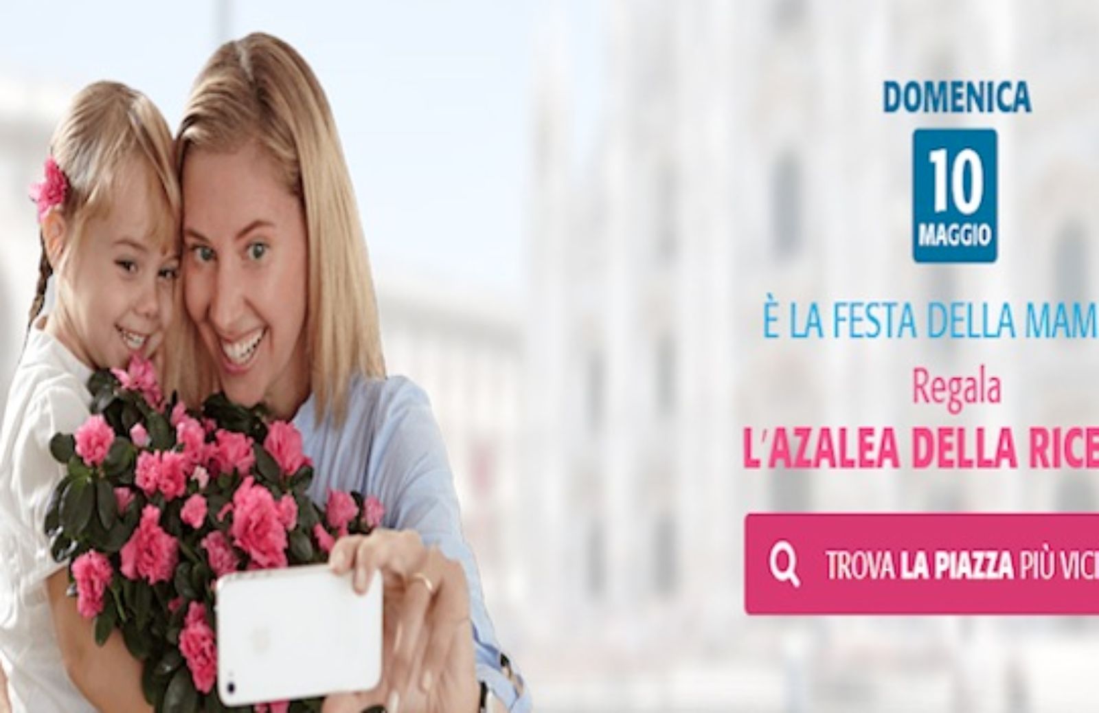 Per la festa della mamma regala l'azalea dell'AIRC