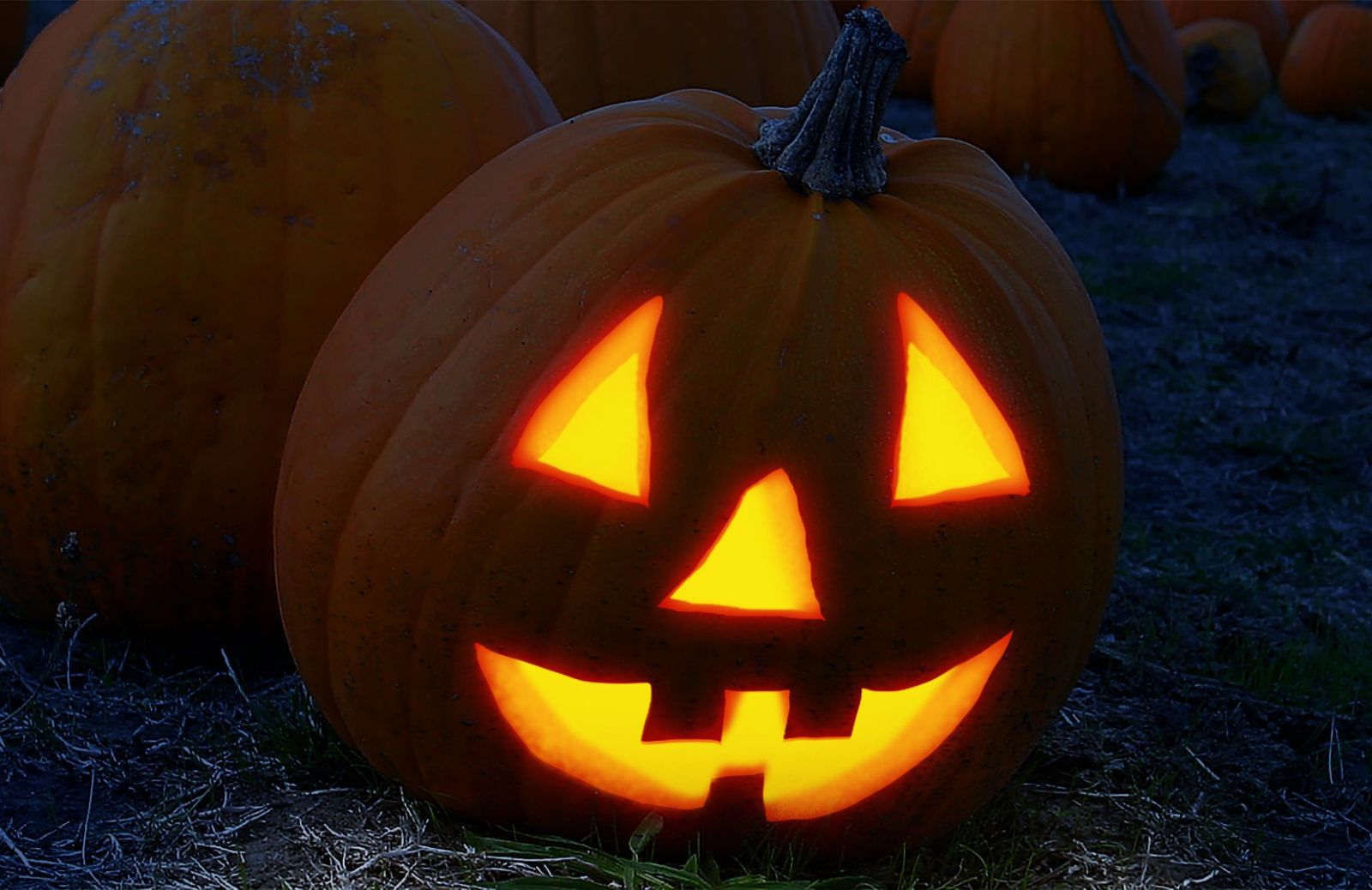 Come intagliare la zucca di Halloween con i bambini