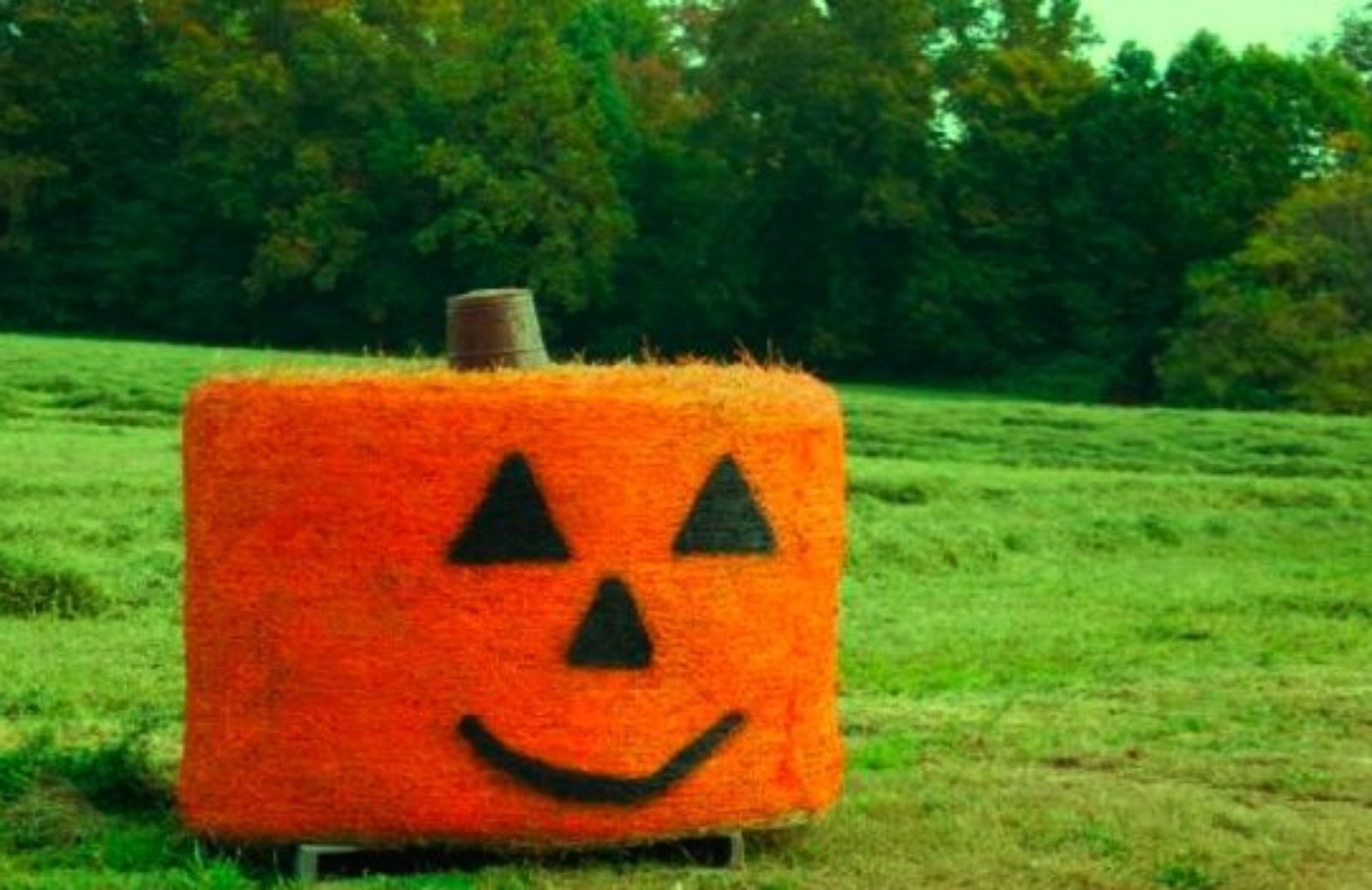 Come organizzare una festa di Halloween per i bambini