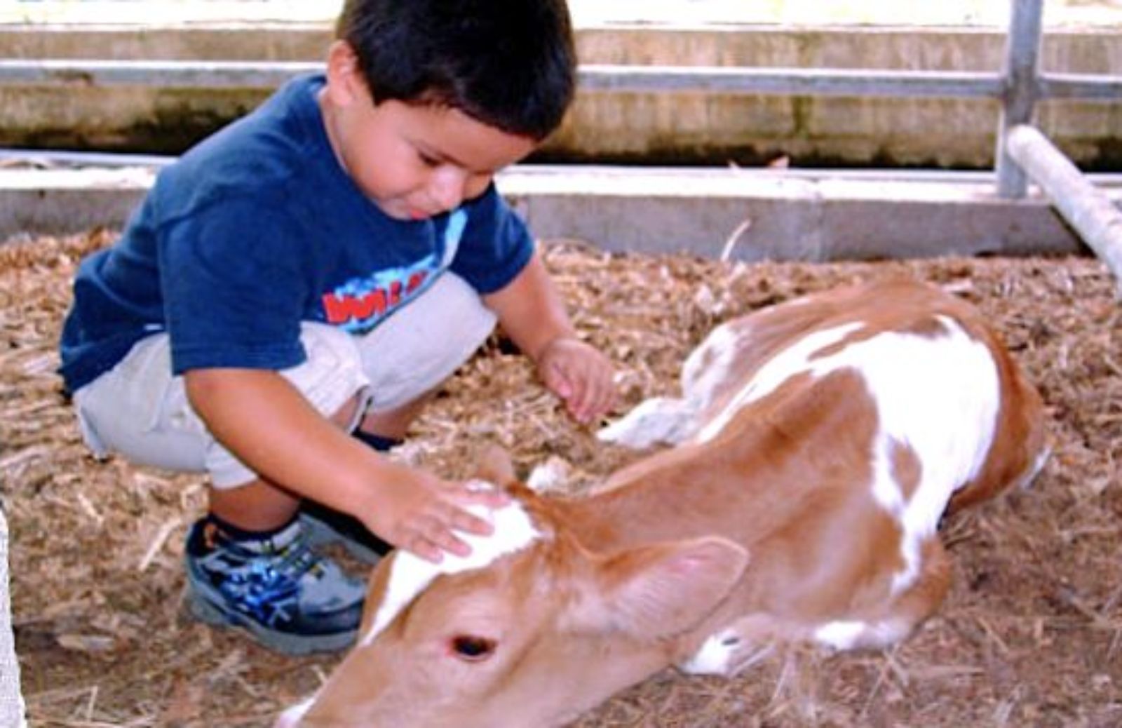 Come educare i bambini al rapporto con gli animali