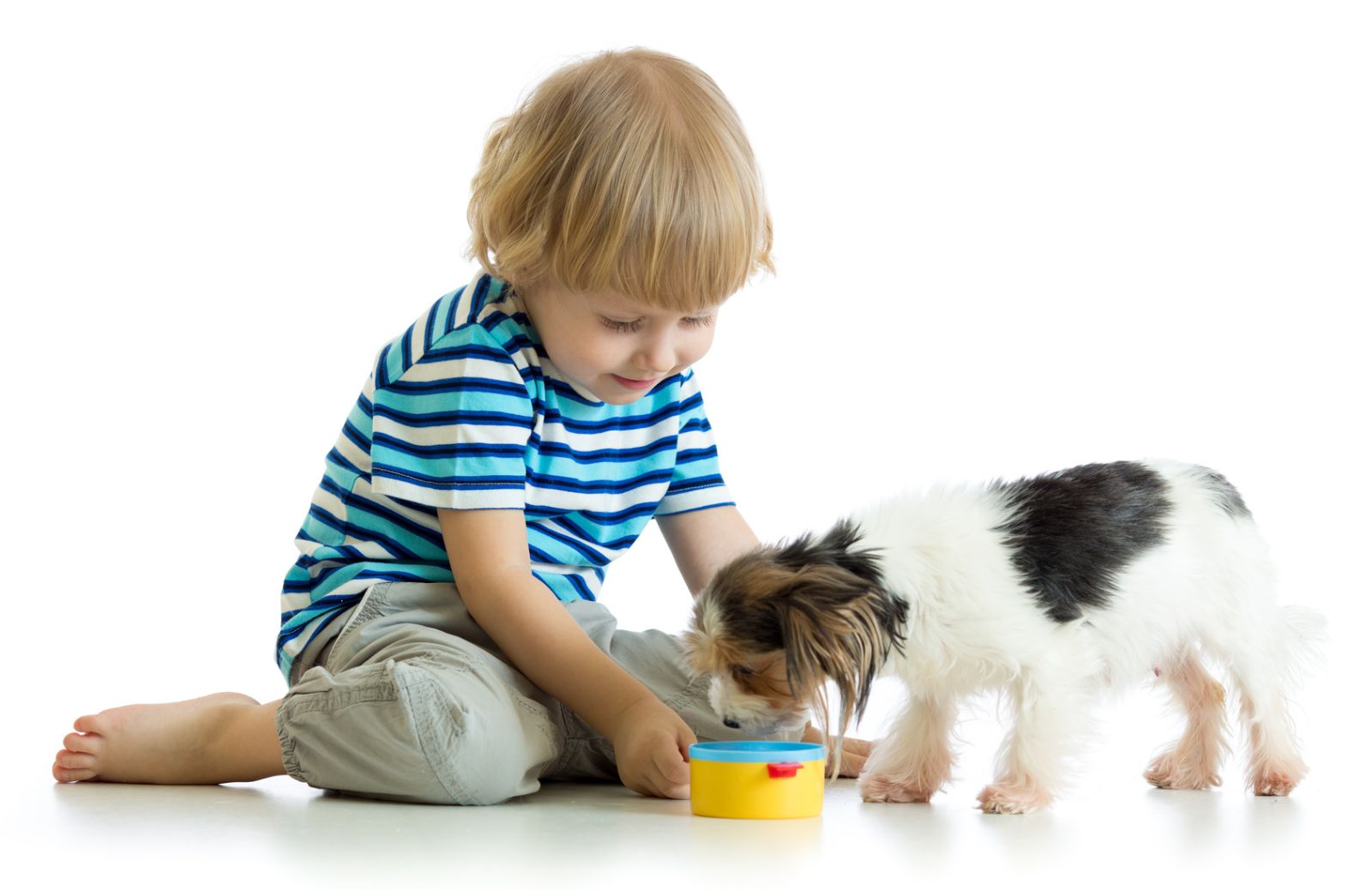 Il bambino vuole un cucciolo, che fare?