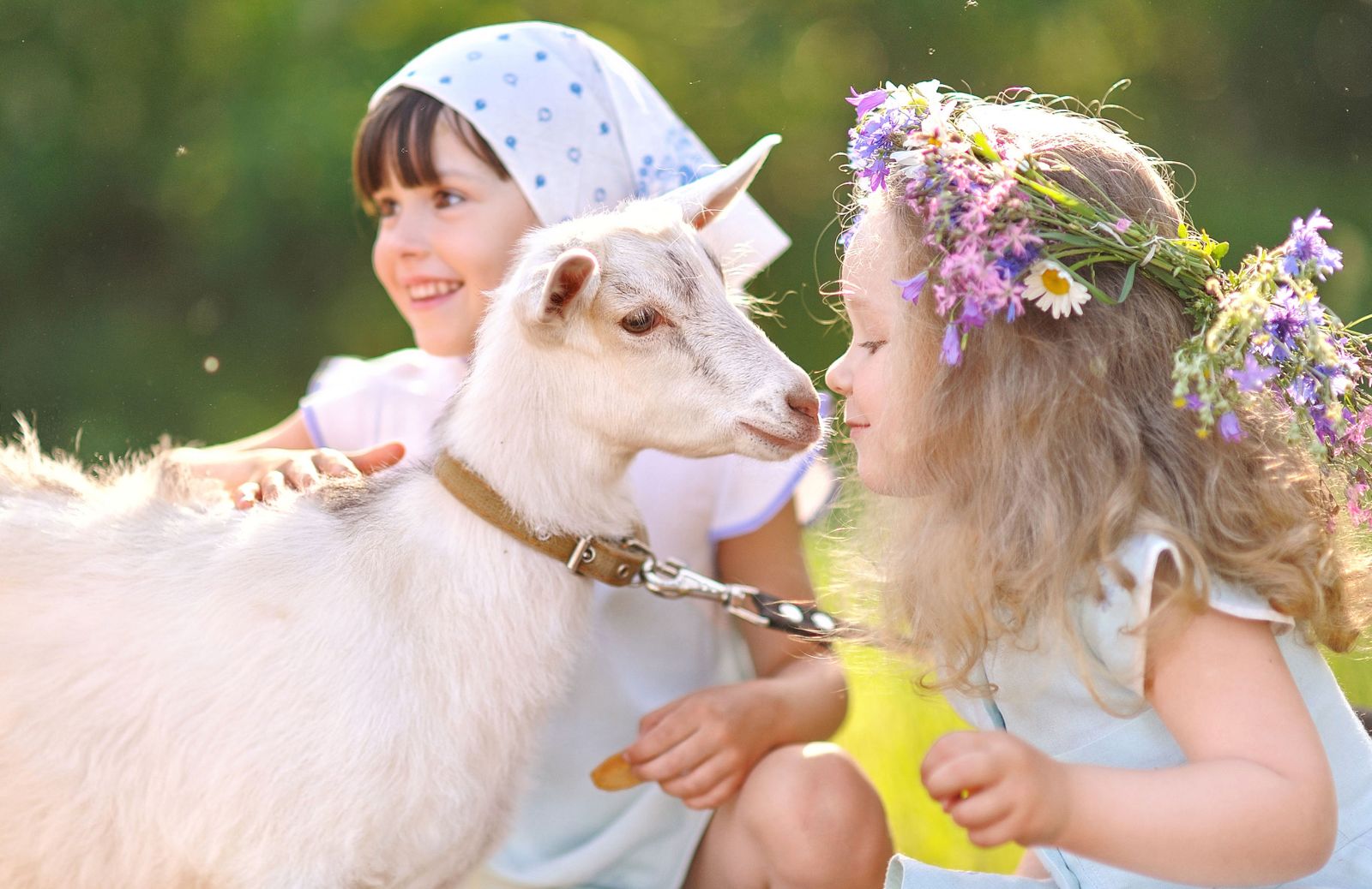 Amici animali, osserviamoli per imparare