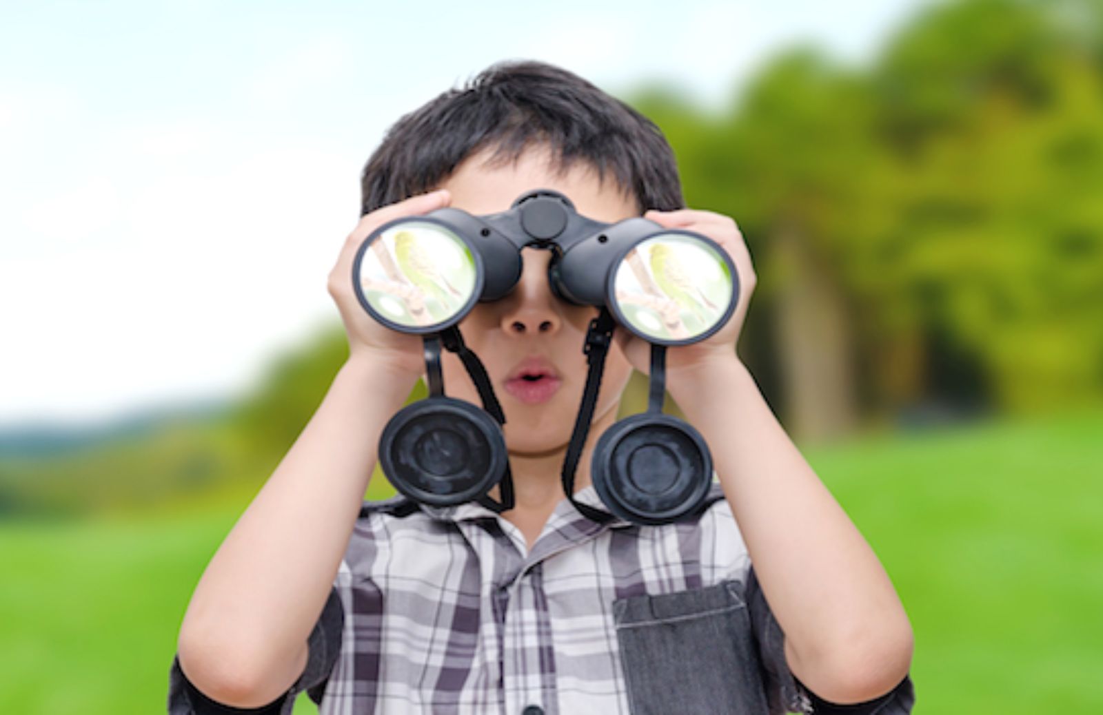 Birdwatching day 2015 insieme ai bambini