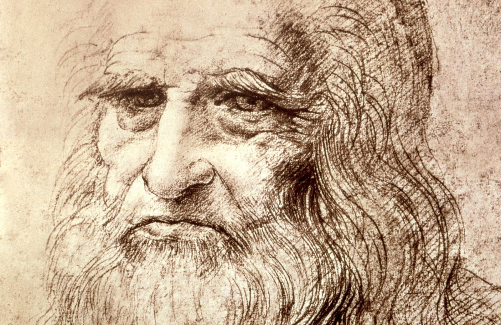 A Palazzo Reale Leonardo da Vinci 1452-1519. Il disegno del mondo