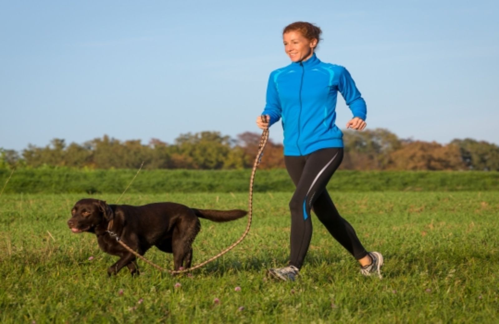 Advantix Running 2014: a Milano la mini maratona con cane al seguito