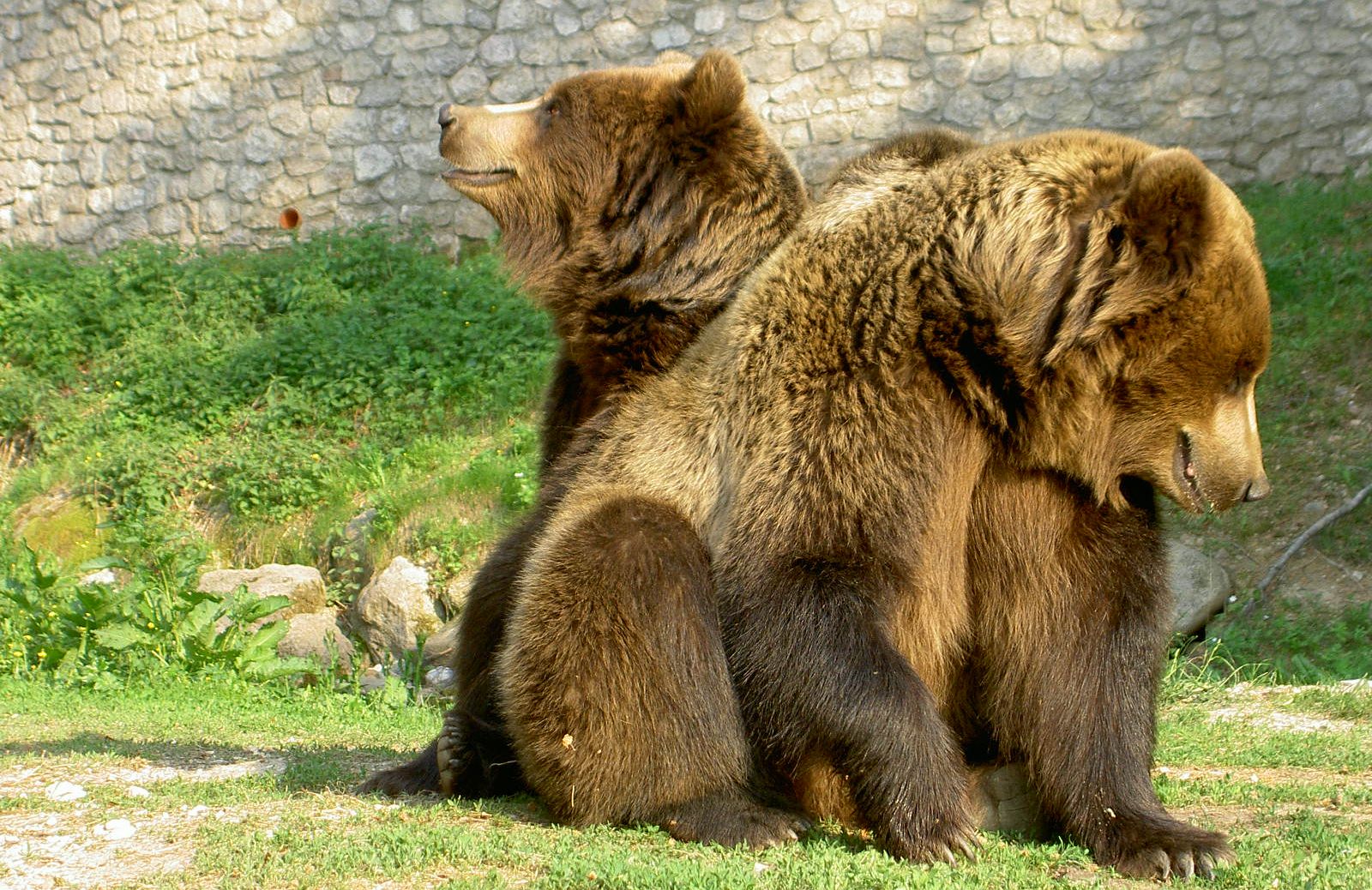 Parco faunistico di Spormaggiore: animali ad alta quota sulle Dolomiti