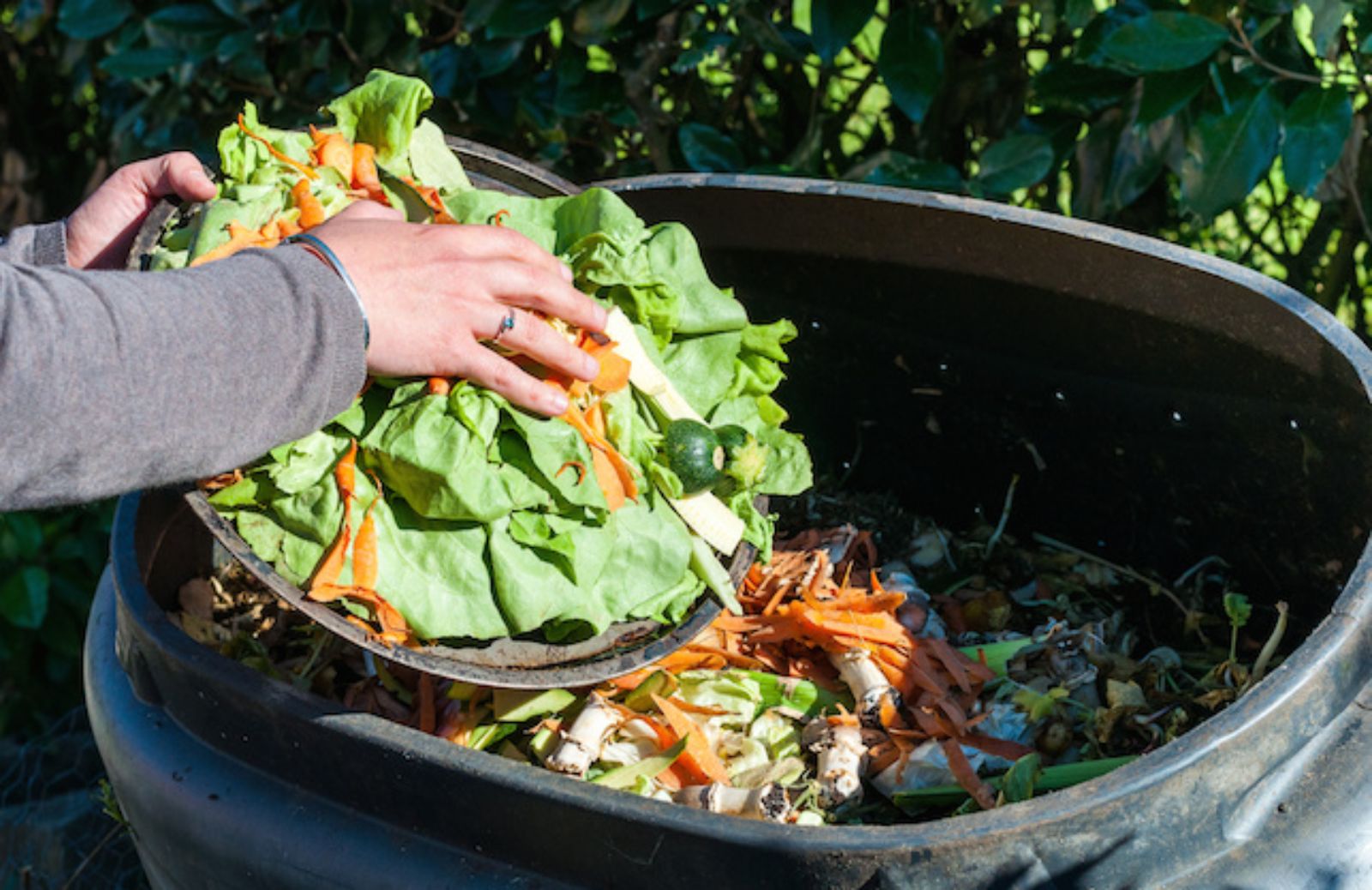 Come risparmiare grazie al compost