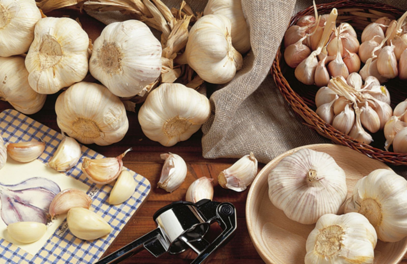 A Caraglio, borgo occitano, per la Festa dell’Aglio