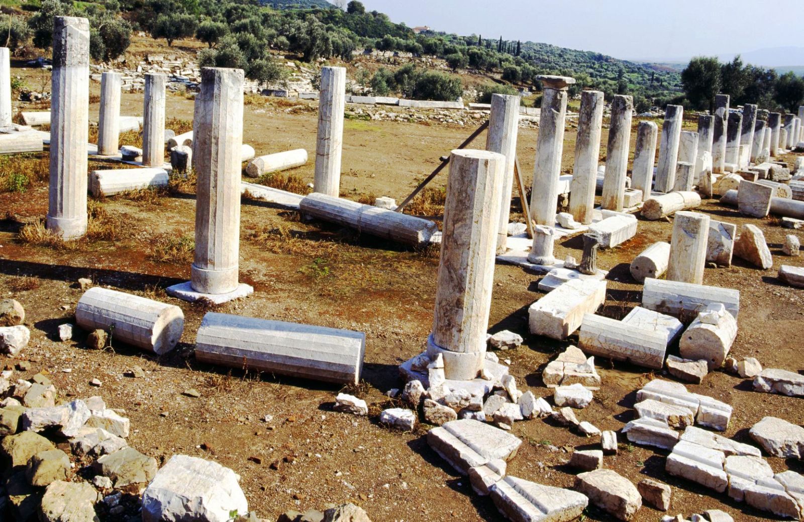 A Messene, tra fortezze e antichi segreti