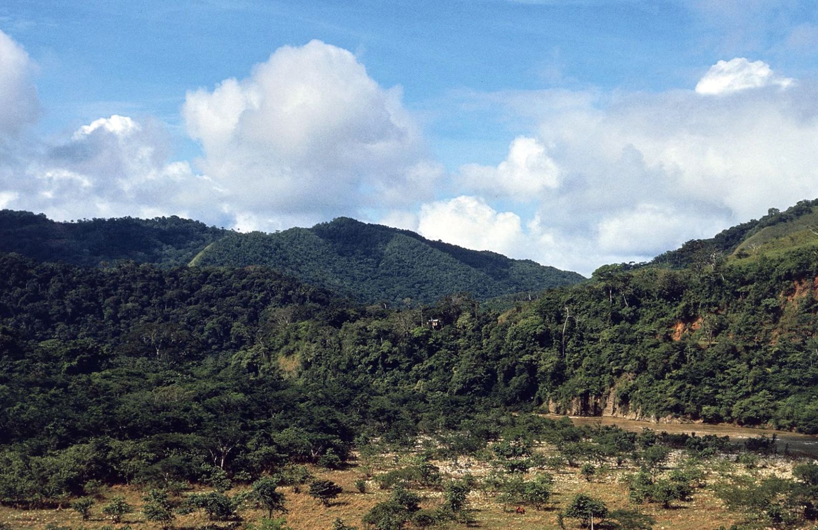 Eco-lusso e adrenalina tra le Montagne di Talamanca