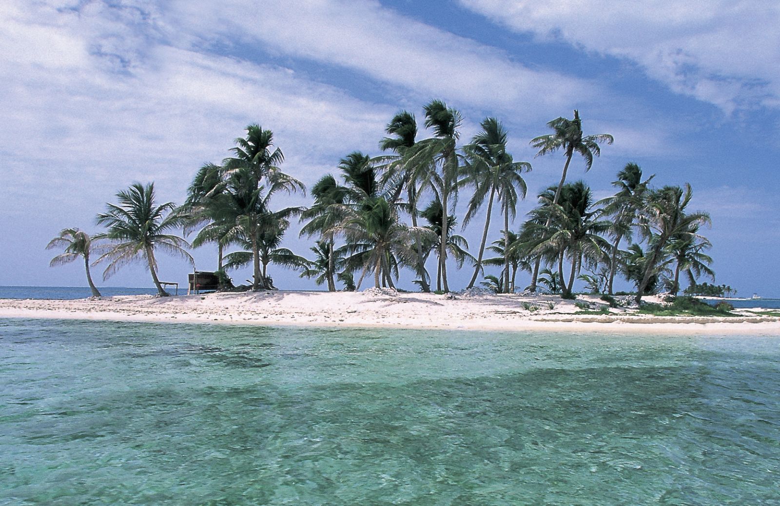 Il mondo colorato delle acque del Belize