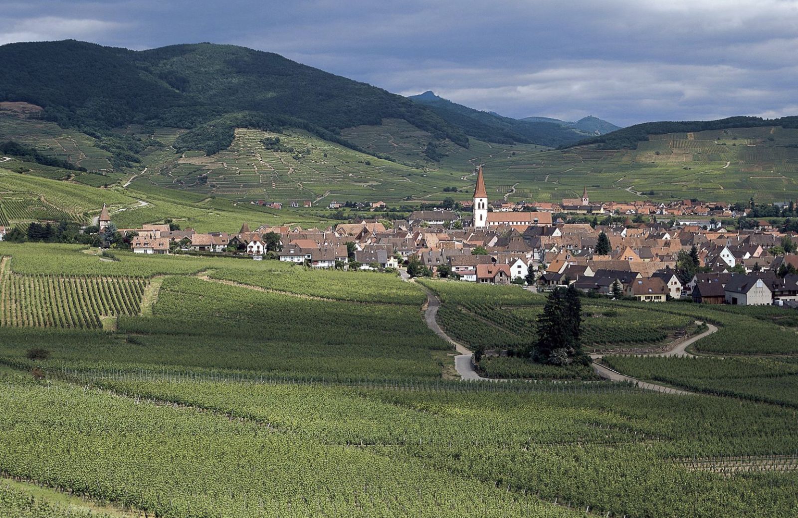 La Strada del Vino dell’Alsazia, paradiso dei gourmet