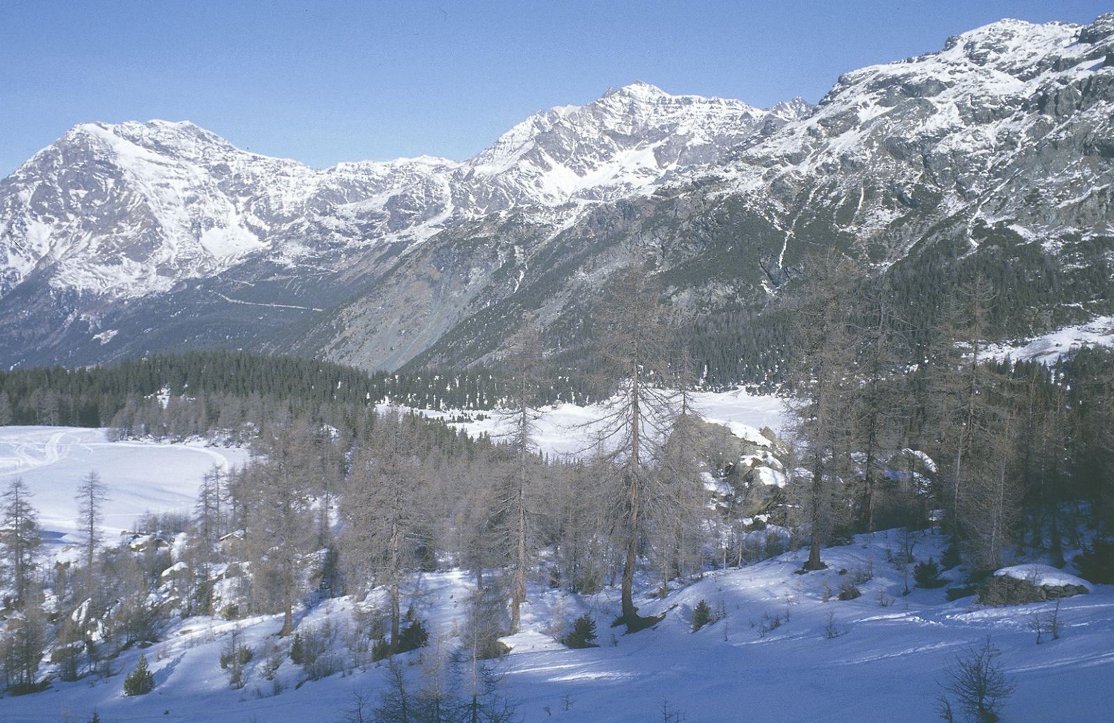 La neve è di casa in Valmalenco!