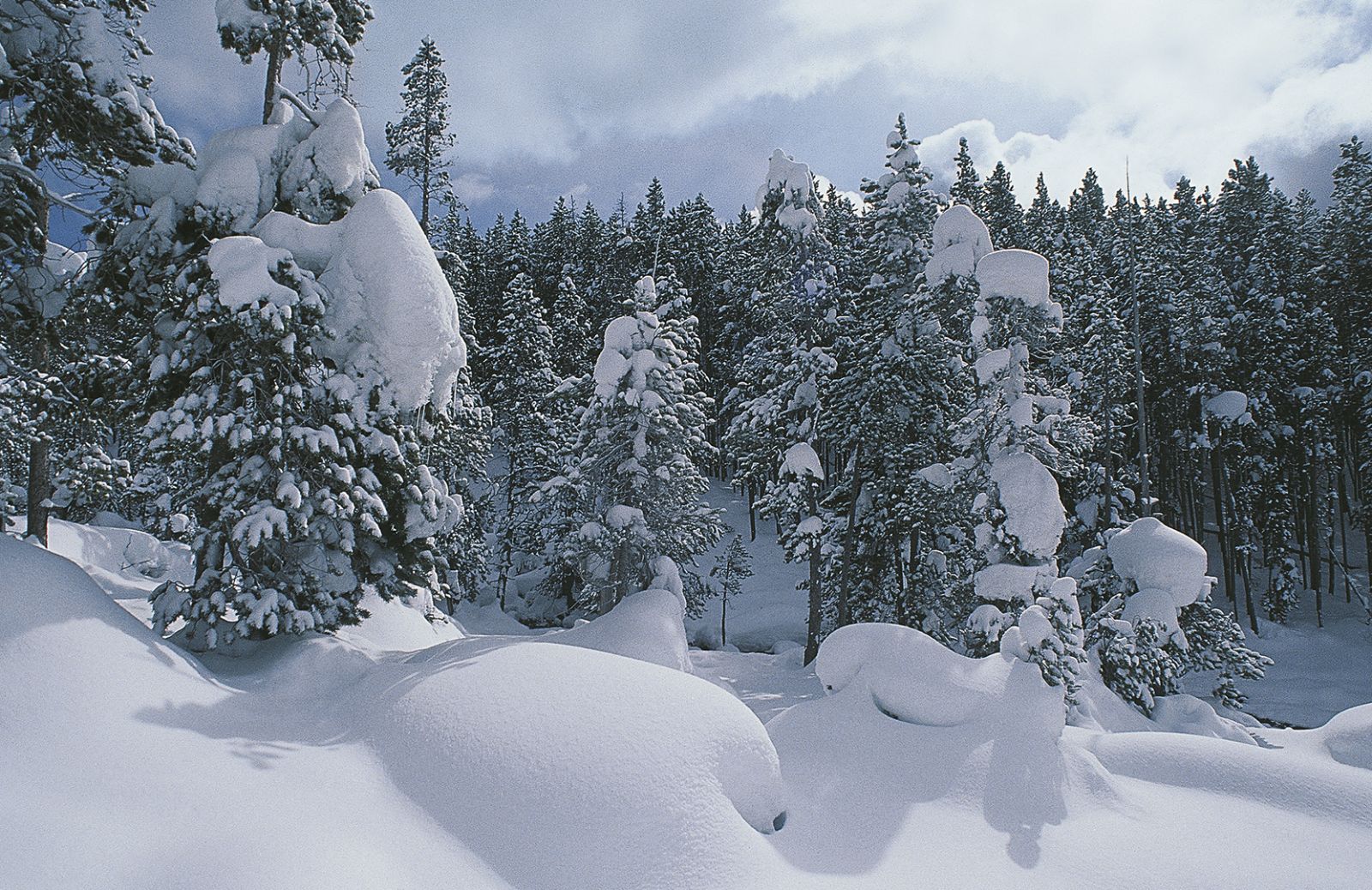 Portes du Soleil: la ski area più grande del mondo 